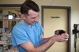 VETERINAIRE NAC 060